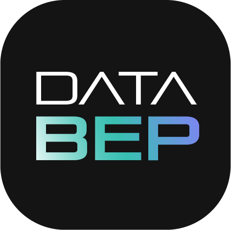 DataBEP - Producto Cota Consultores